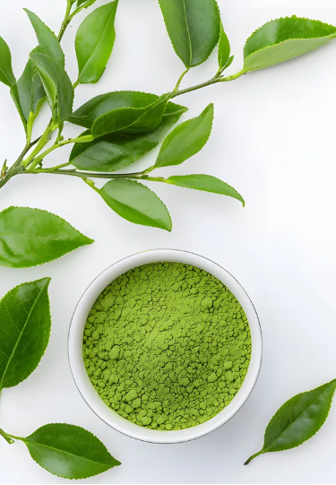 Matcha powder in a bowl with fresh green leaves on a white background